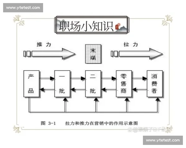 提升品牌影响力与市场份额的关键策略与实践分析